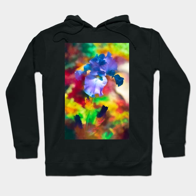 Iris 69 Hoodie by secretgardener